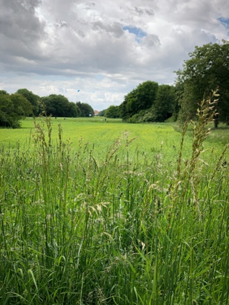Durchblickpark