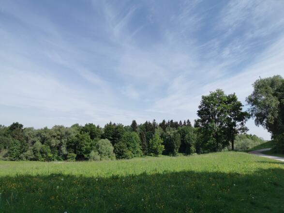 Aubinger Lohe
