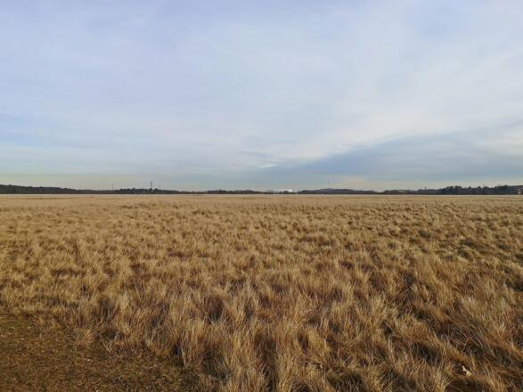 Ausblick von der Panzerwiese auf die Allianzarena
