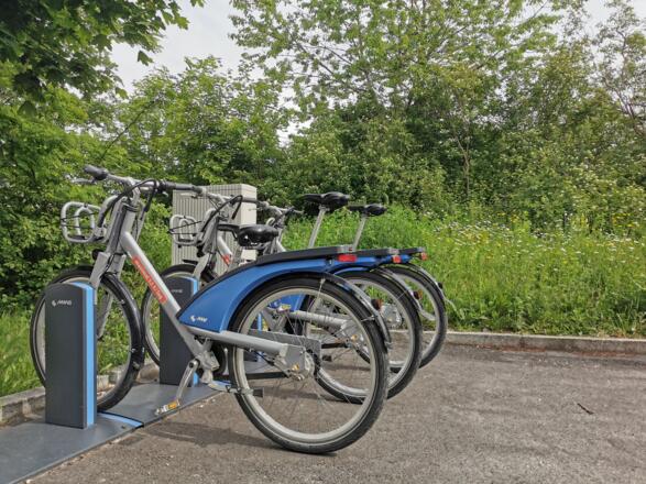 MVG Fahrradverleih Aubing