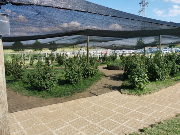 BeerenCafé