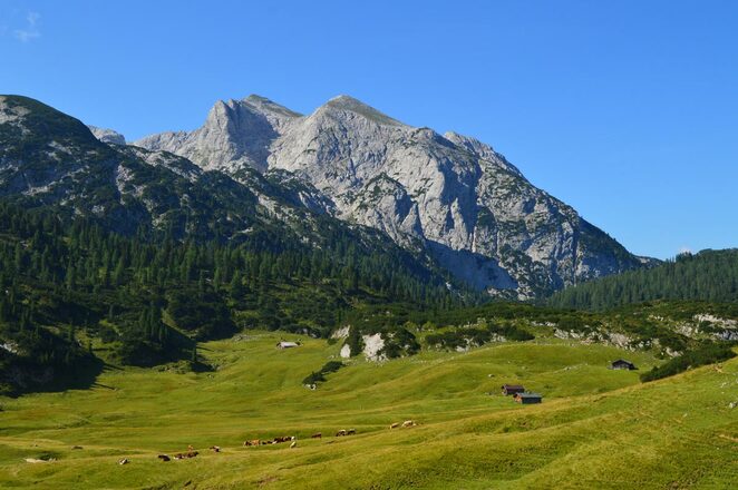 Das Plateau der Reiter Alm | Reiter Alpe
