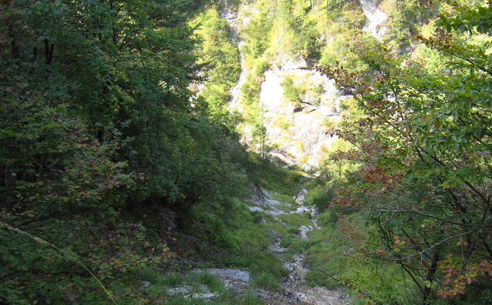 Rund um die Reiteralpe