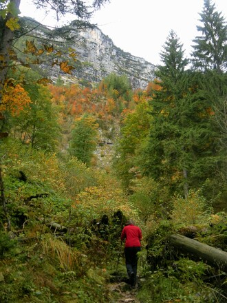 Einstieg in den Wachterlsteig