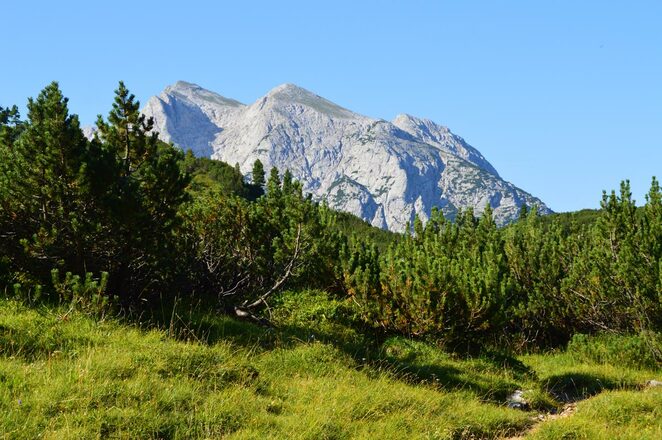 Das Plateau der Reiter Alm | Reiter Alpe