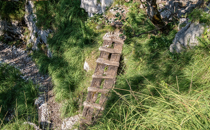 Holzbrücke im Rinnkendlsteig