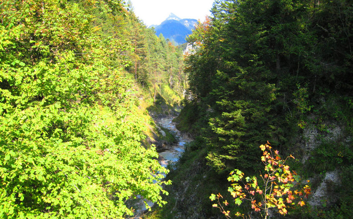 Rund um die Reiteralpe