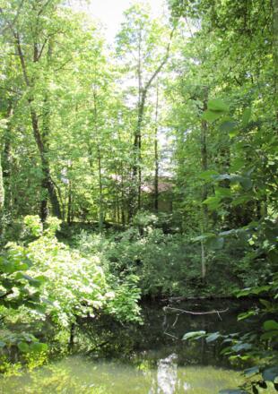 Ehemaliges Pasinger Schloss