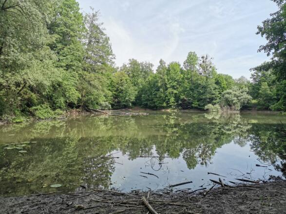 Weiher - Aubinger Lohe