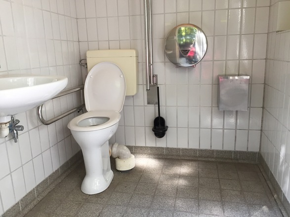 Rollstuhl-WC, rechts 110 cm Platz, zur Tür 180 cm, Toilettenhöhe 51 cm