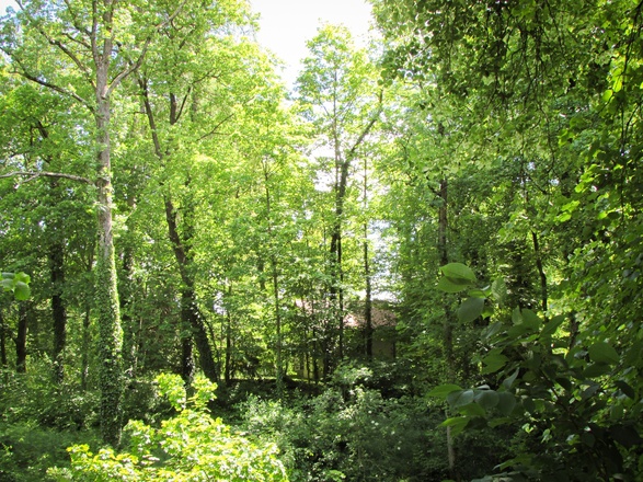 Ehemaliges Pasinger Schloss