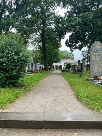 alter Sendlinger Friedhof Bäume