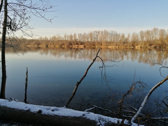 Seeufer Hundesee