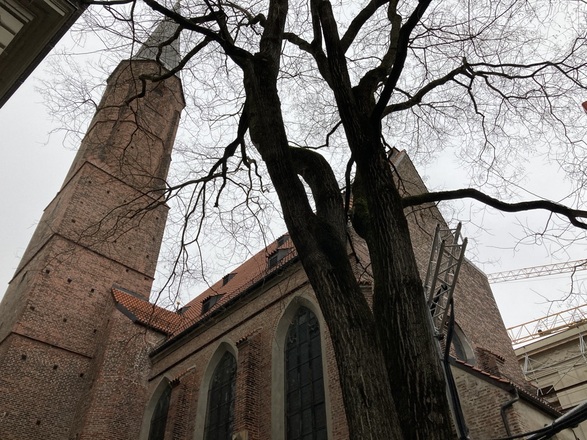 Die Rückseite der Salvatorkirche