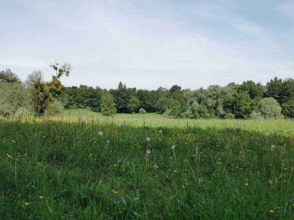 Aubinger Lohe - Keltenschanze