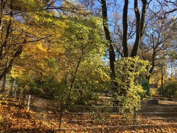 Der Spielplatz am Valleyplatz