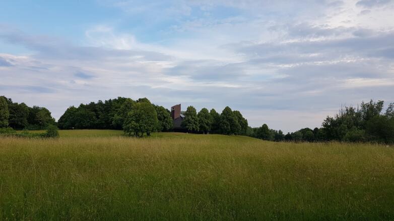 Keltenschanze auf dem Neuen Südfriedhof