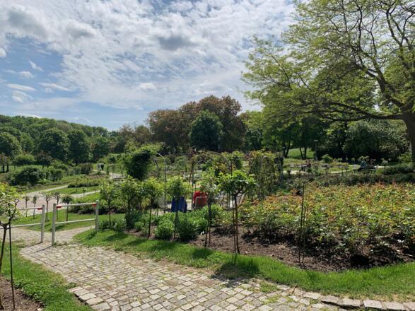 Rosengarten