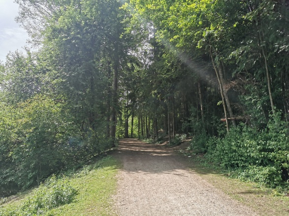 Aubinger Lohe - Keltenschanze