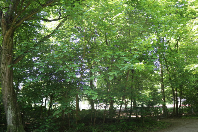 Angerlohe