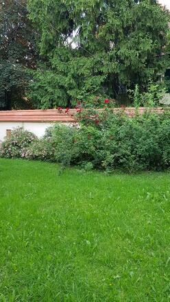 Maria Ramersdorf Garten