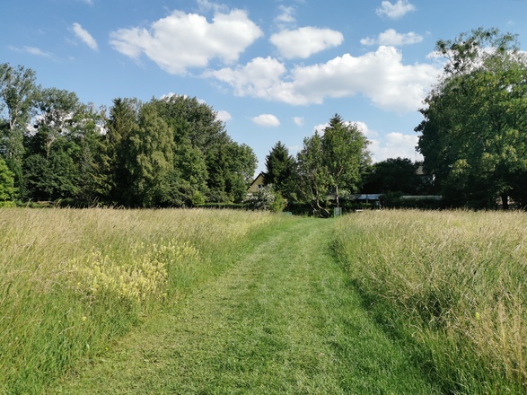 Kneippkur am Bach