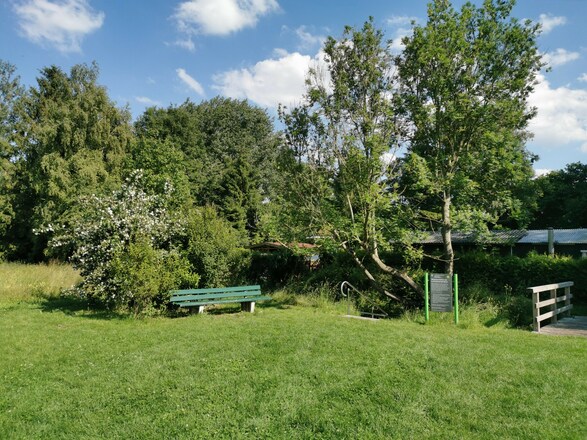 Kneippkur am Bach