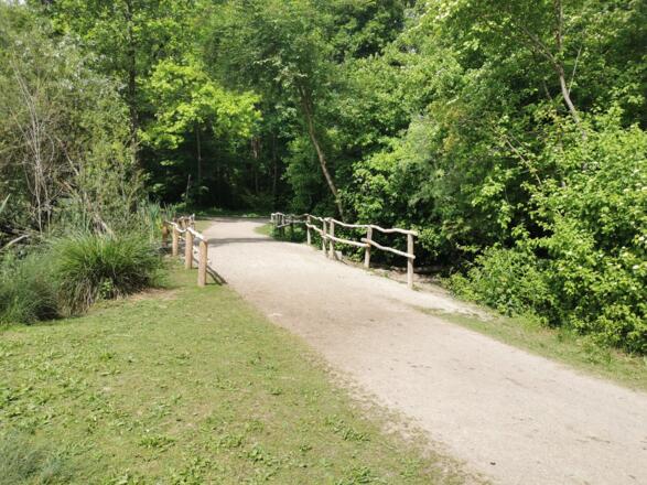 Weiher - Aubinger Lohe