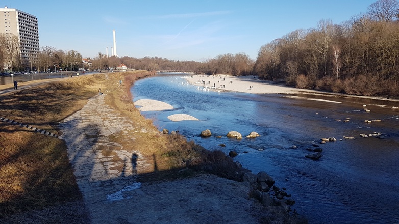 Schwäne am Flaucher