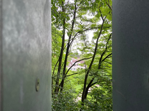 Baumhaus 2 Aussicht