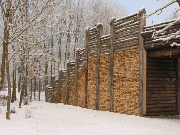 Winter am keltischen Stadttor an der Schleuse in Kelheim-Gronsdorf