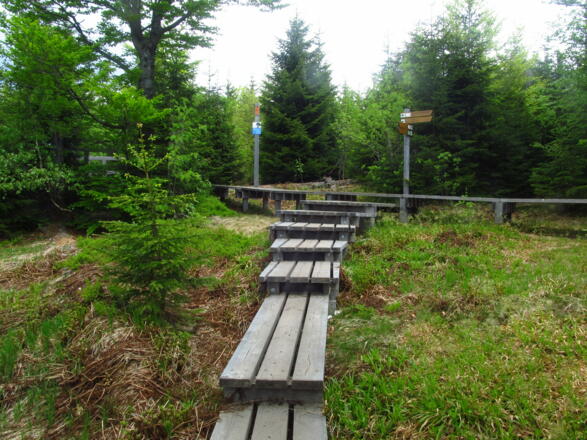 Weg zum Teufelsloch (Goldsteig)