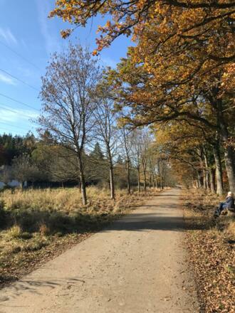 Forstenrieder Park Bänke