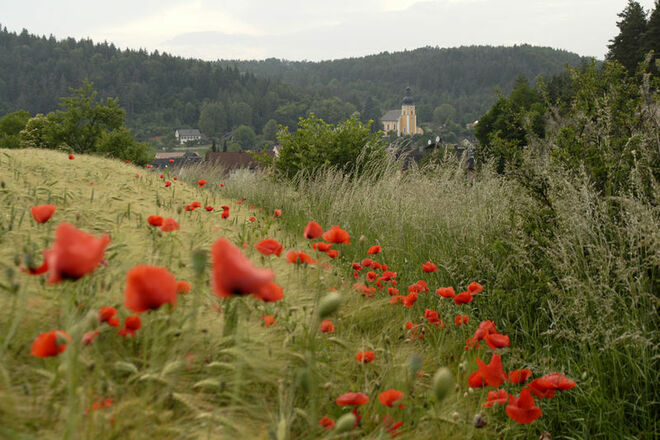 Unterwegs am Jurasteig