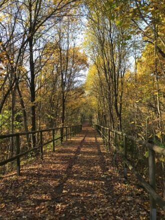 Eingang Forstenrieder Park