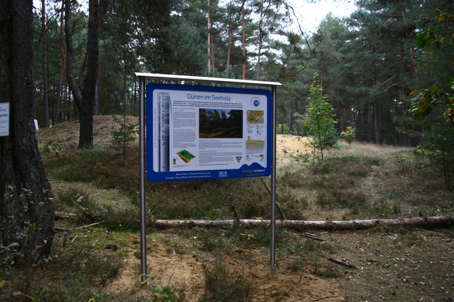 Infotafel Sanddüne Seeholz Abensberg