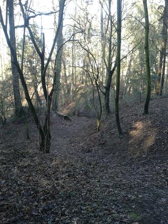 Kurz vor der Bachquerung