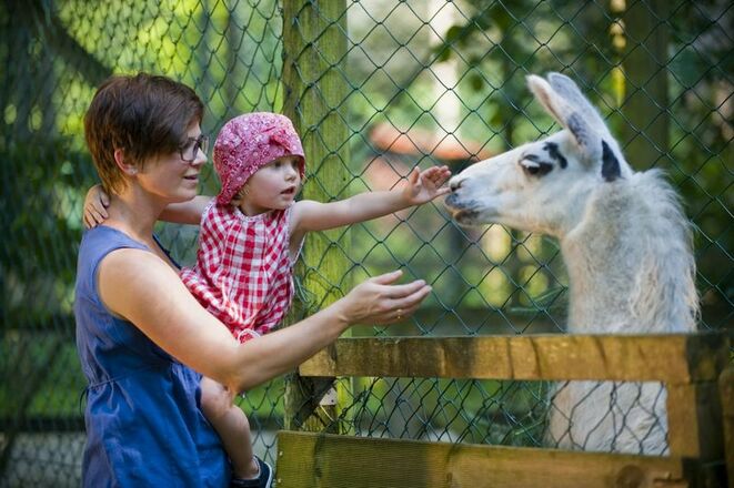 Famiienausflug in den Vogel und Tierpark Abensberg