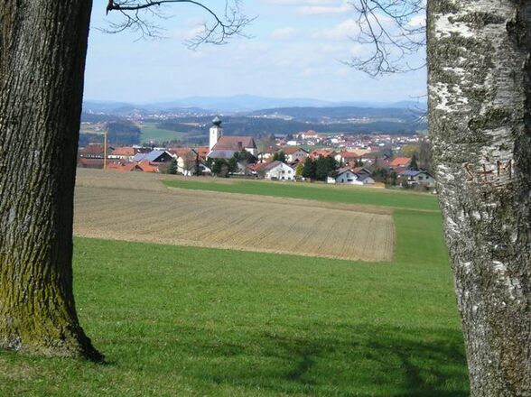 König-Max-Höhe. Foto: Zillner