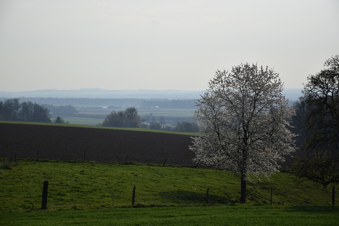 Ausblick Forstbergkapelle
