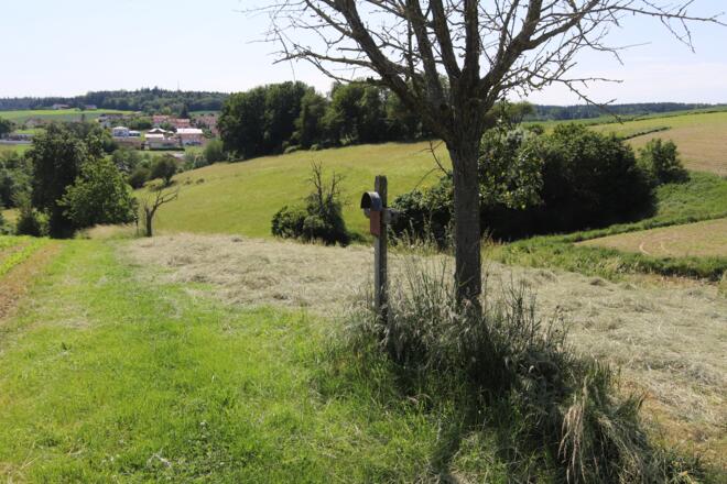 Beginn Kreuzweg von der Leithenkapelle bis zur Kirche im Tal