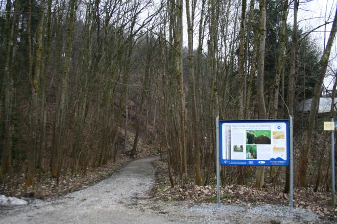 Infotafel am Wachsenden Felsen