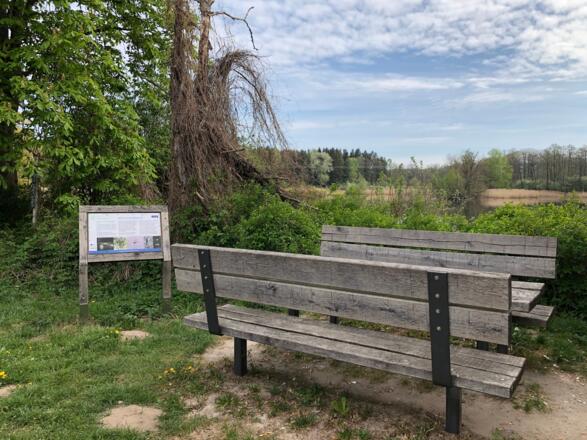Sitzgruppe und Infotafel am Breitensee