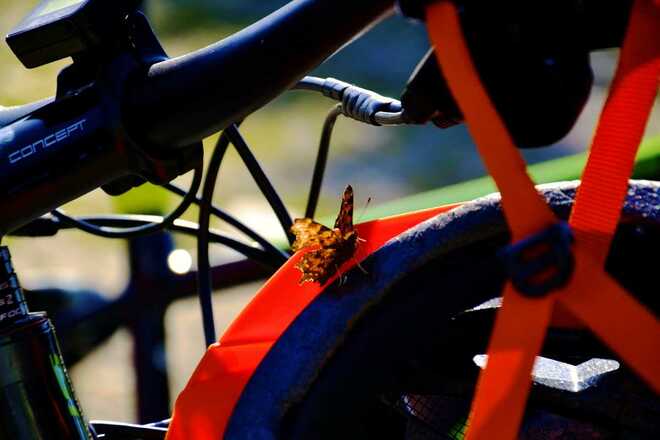 E-Bike Bayerischer Wald