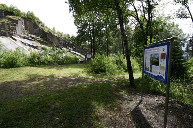 Infotafel "Bayerns schönste Geotope" am "Burgweiher" unterhalb vom Schlossberg Flossenbürg