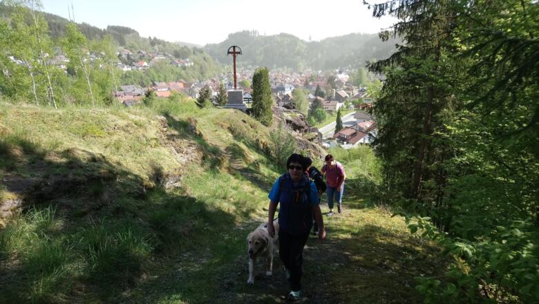 Auf dem Rollenberg in Steinwiesen