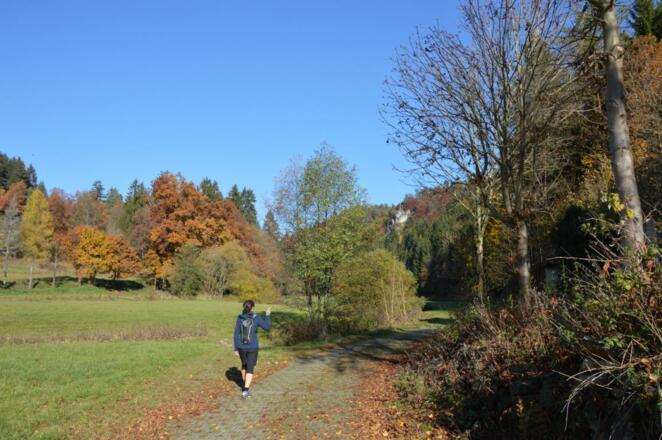 Im Aufseßtal mit Glockenfelsen im Hintergrund