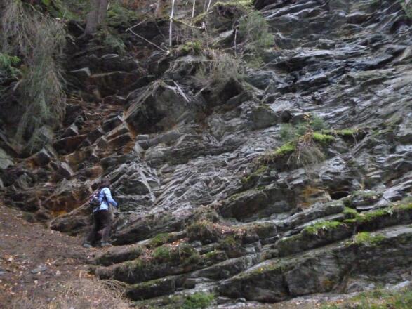 Der Oertelsbruch bei Ludwigsstadt