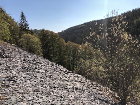 Blick auf die Obere Schieferhalde