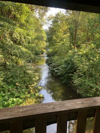 Blick von der Brücke auf die Rodach